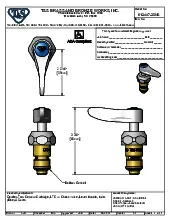 t-s-brass-012447-25ns-faucet-parts-accessories-specsheet-251019tza6x6.pdf