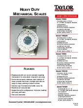 taylor-precision-thd32d-scale-portion-dial-specsheet-251019qmryih.pdf