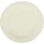 Carlisle 3300242, Plate, Plastic