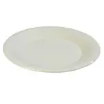 Carlisle 3301042, Plate, Plastic