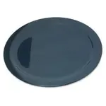 Carlisle 4350035, Plate, Plastic