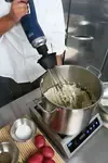 Globe GIB500-12, Immersion Blender, Variable, 3/4 HP